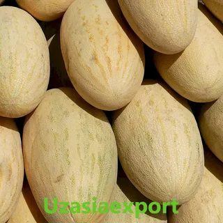 تصویر 1 از خرید خربزه مشهدی خشک طعمی شیرین از دل تابستان
